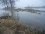 zvednuti-labe-17-1-2011